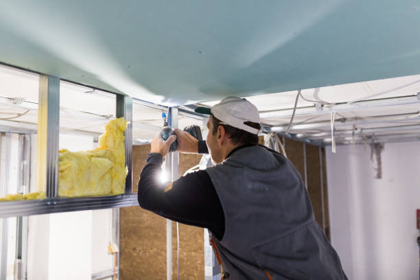 Professional Insulation Contractor in Mansfield, LA
