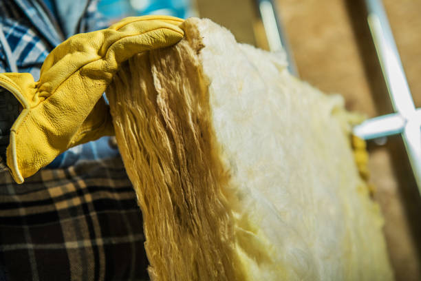 Best Blown-in Insulation in Mansfield, LA