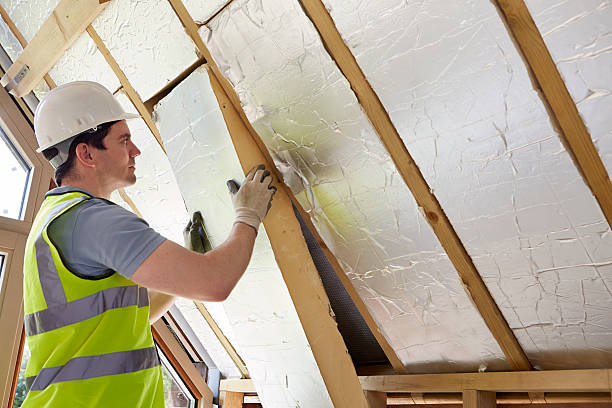 Best Specialized Insulation Services in Mansfield, LA
